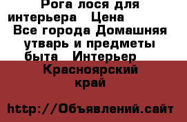 Рога лося для интерьера › Цена ­ 3 300 - Все города Домашняя утварь и предметы быта » Интерьер   . Красноярский край